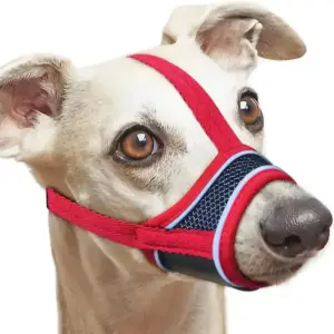 focinheira ajustável para cães