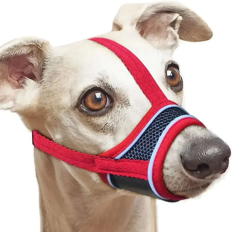 focinheira ajustável para cães