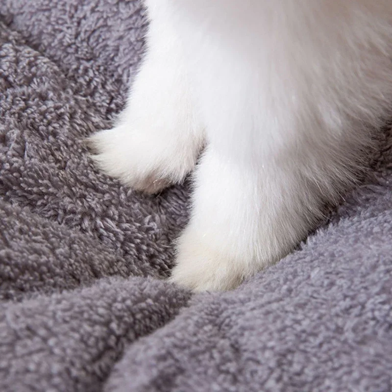 Cama Toca para Gatos e Cães Pequenos Dobrável Madeira - Image 5