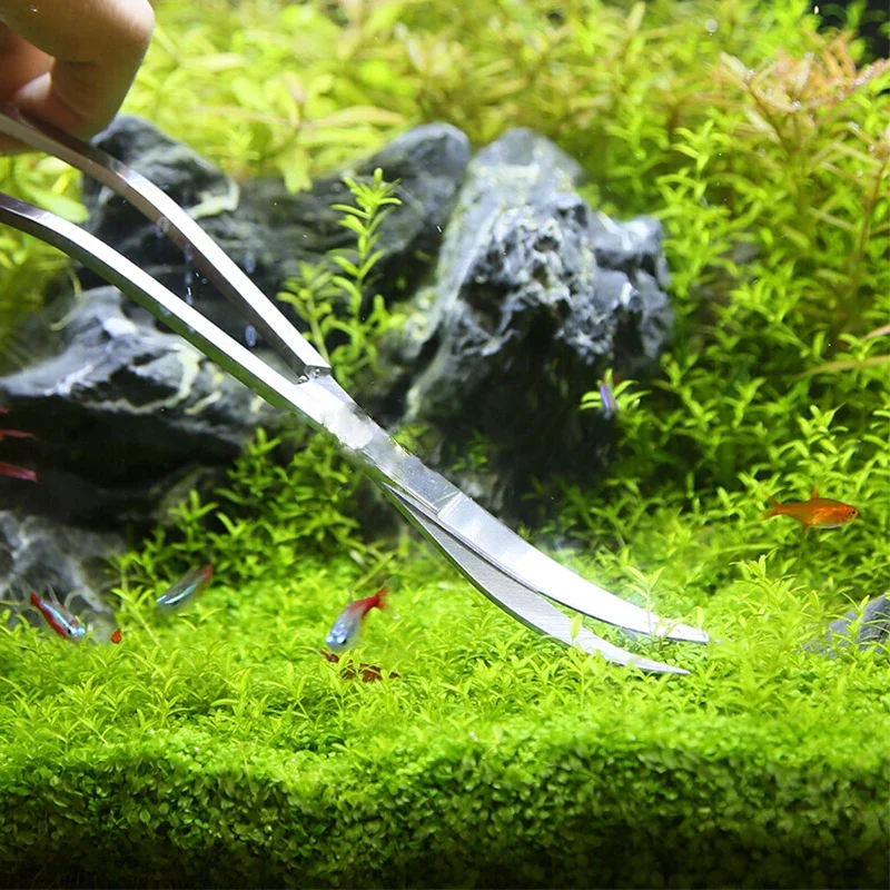 Pinça e Tesoura para Aquário de Aço Inoxidável 25 cm para Plantas - Imagem 5