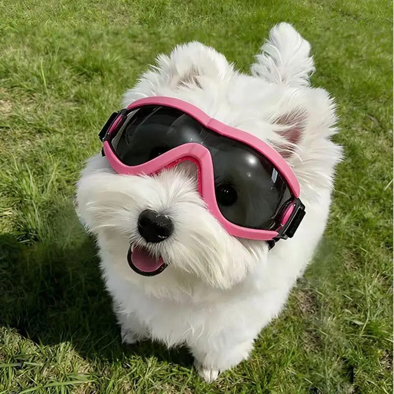 Óculos de Sol para Cães com Proteção UV e Lentes à Prova de Vento - Imagem 6