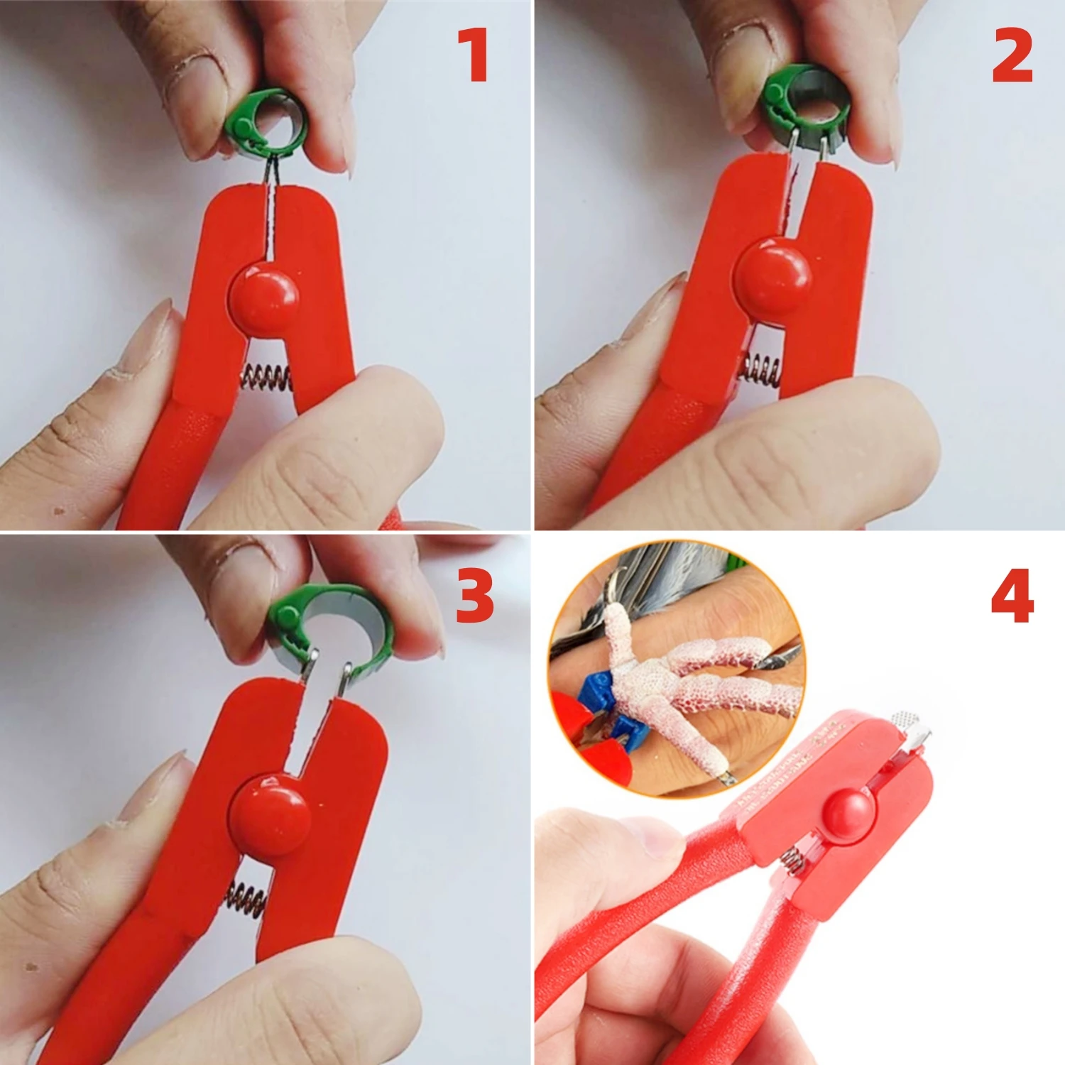 Alicate Abridor Anel para Pássaros 12,5 cm Aço Inox com Cabo ABS - Imagem 6