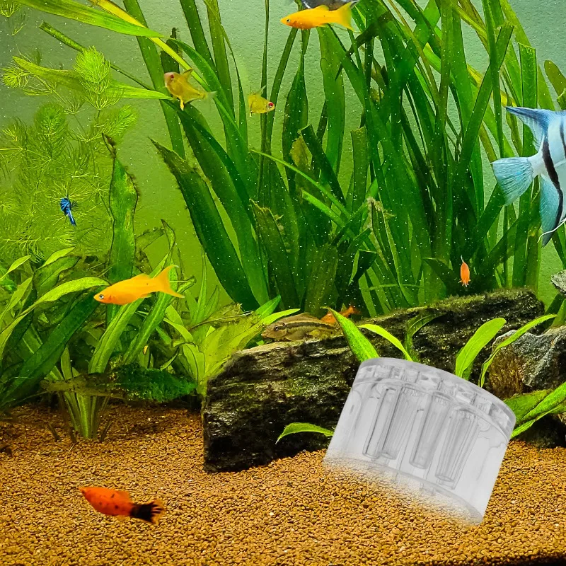 Armadilha para Planárias de Aquário Acrílico 8 Buracos Transparente - Imagem 3