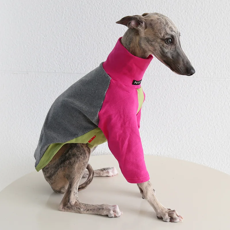 Suéter de Lã para Cães Galgos Gola Alta Preto - Imagem 5