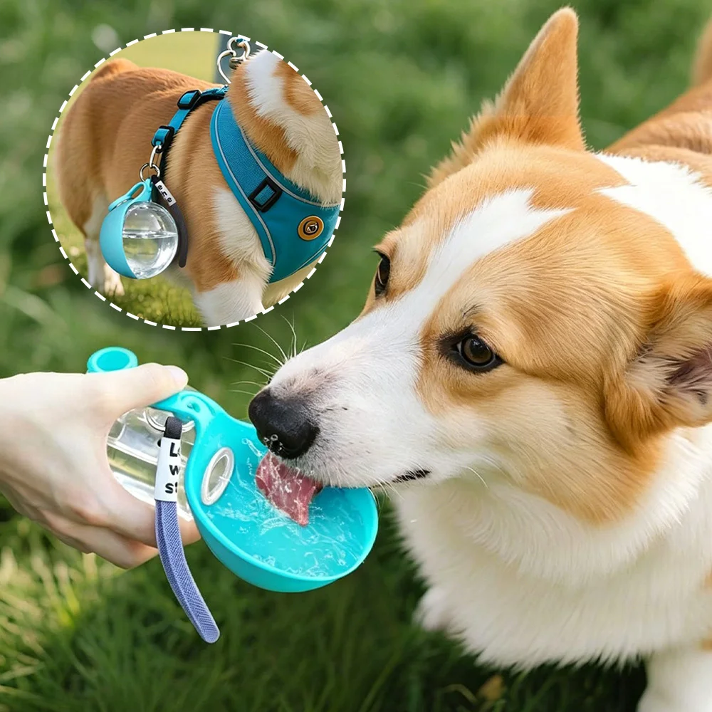 garrafa de água portátil para cães