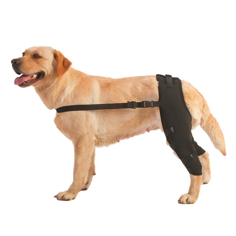 Suporte de Perna para Cães com Alça Ajustável - Imagem 5