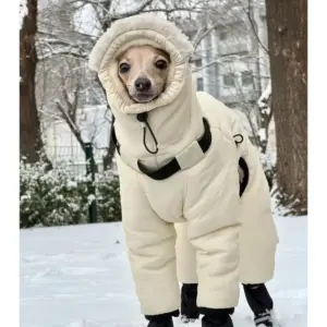 jaqueta de inverno para cães grandes