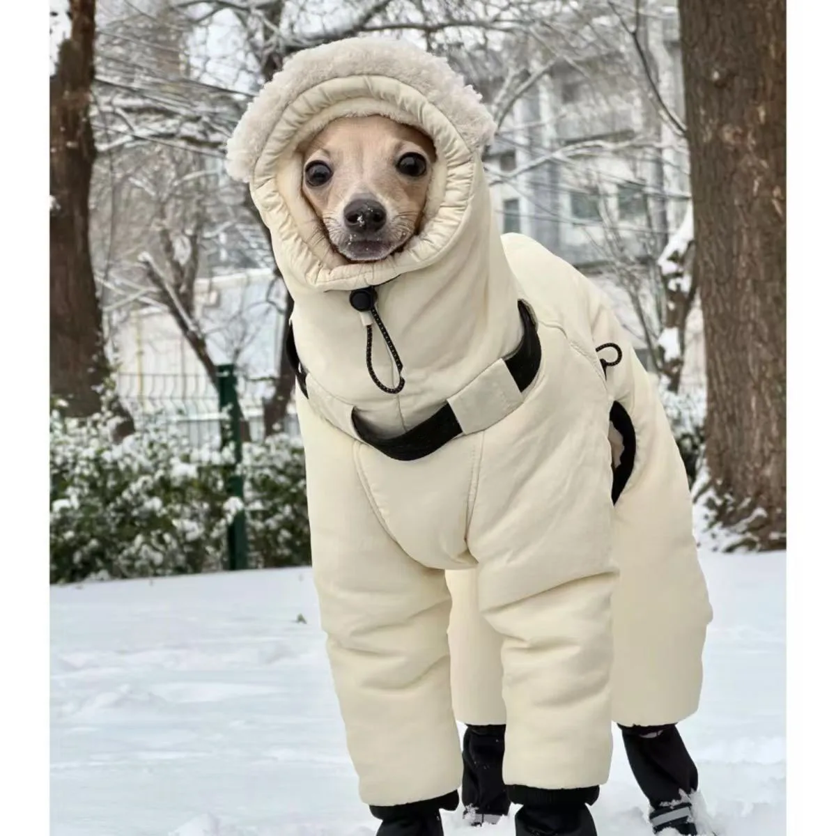 jaqueta de inverno para cães grandes