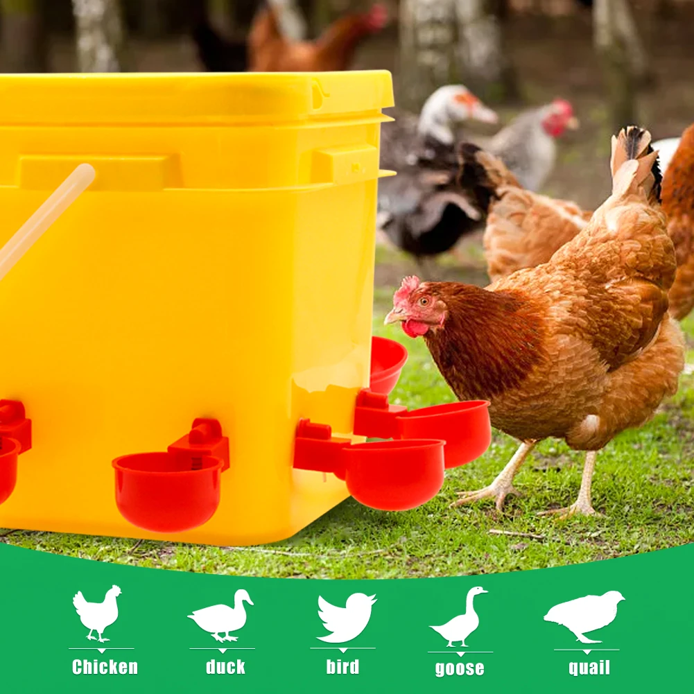 Kit Bebedouro Automático para Aves de Capoeira 10L com 8 Copos - Imagem 5
