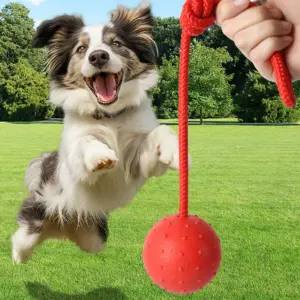 bola de borracha com corda para cães