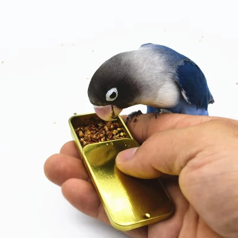 Jarra de Comida para Pássaros Portátil para Treinamento - Imagem 3