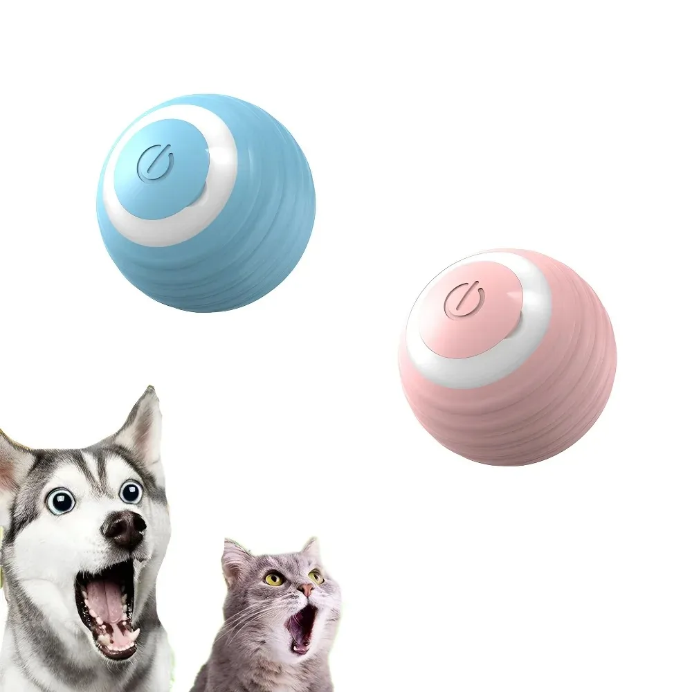 Bola Interativa para Gatos 4,2 cm com Rolamento Automático - Imagem 6