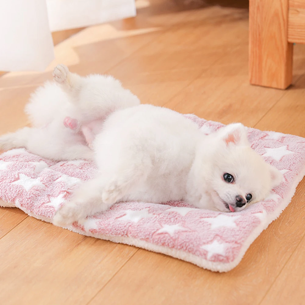 Cama de Flanela para Cães Lavável com Cores Variadas - Image 3