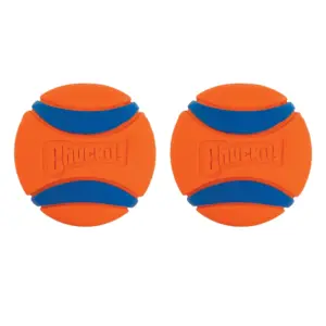 bola ultra ball para cães pequenos