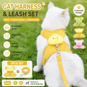 conjunto coleira e guia para gatos