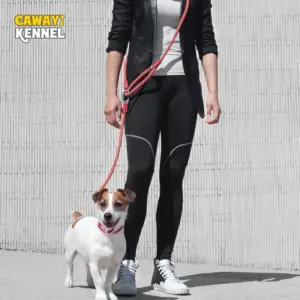 guia para cães de nylon refletiva