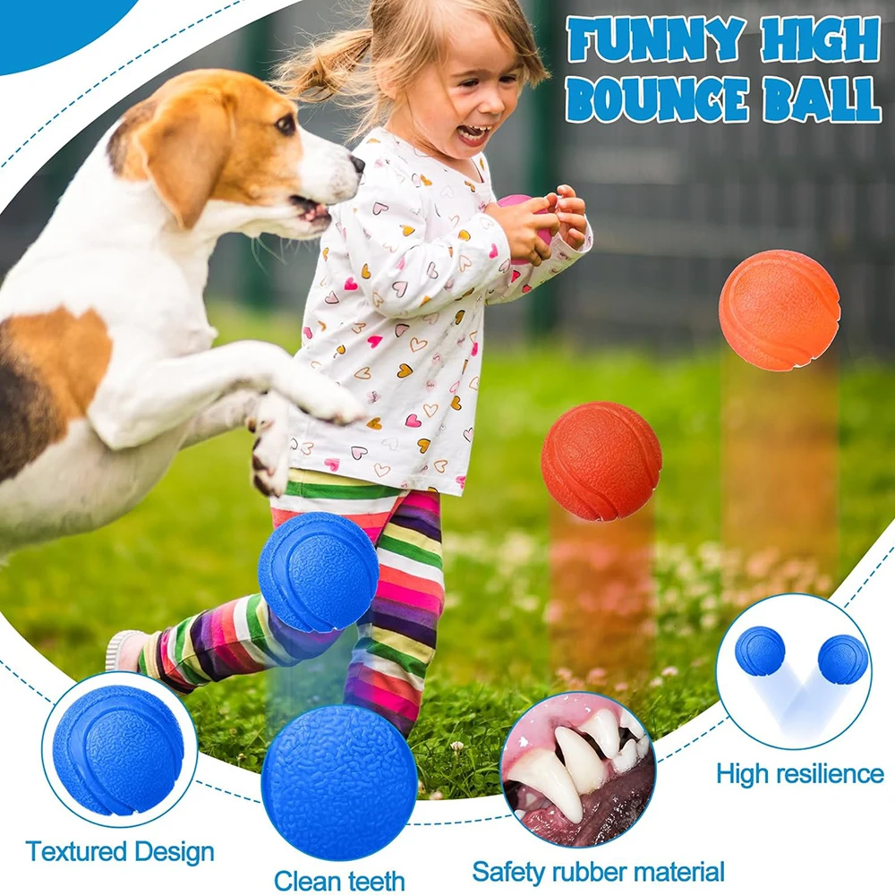 Bola Elástica para Cães e Gatos de Borracha Resistente à Mordida - Image 6