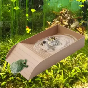 prato para répteis para piscina