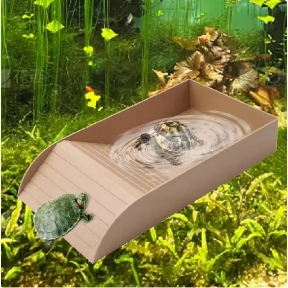 prato para répteis para piscina