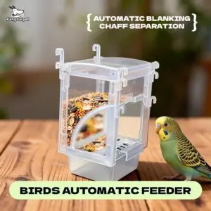 comedouro automático para pássaros