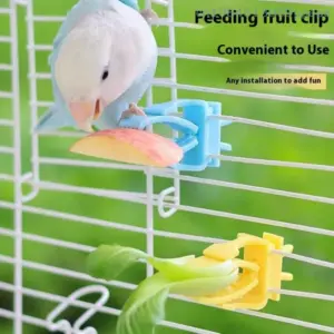 clipe de frutas e vegetais para pássaros