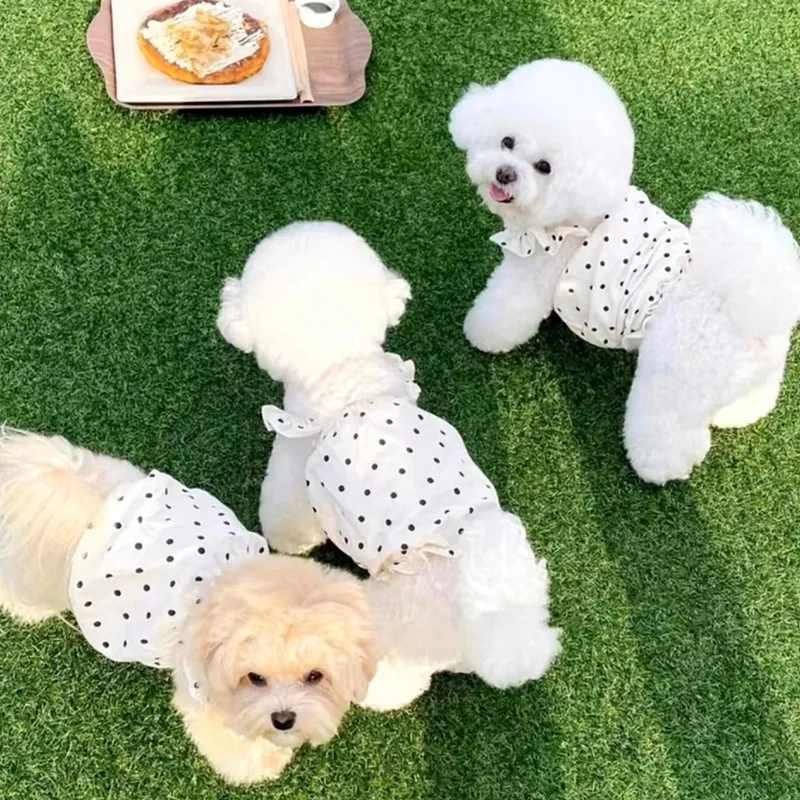 Vestido para Cães e Gatos de Bolinhas em Algodão e Poliéster - Image 3