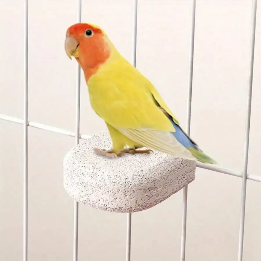 Poleiro para Pássaro Papagaio com Garra Moagem - Image 6