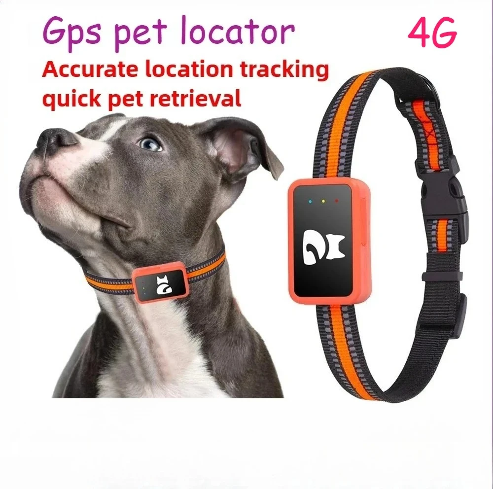 rastreador GPS 4G para cães e gatos