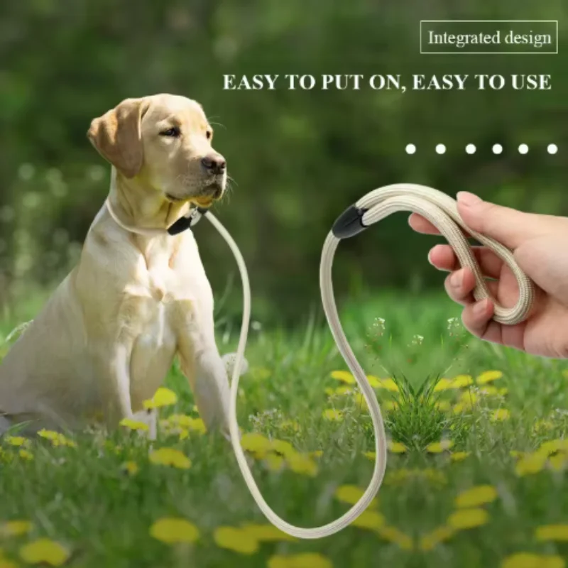 Coleira para Cães Pequenos de Nylon com Liberação Rápida - Imagem 4