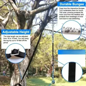 brinquedo de rebocador bungee para cães