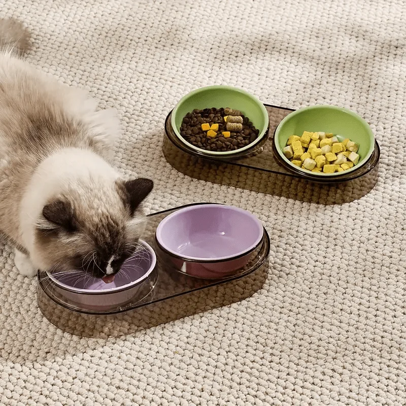 Comedouro Duplo Elevado para Cães e Gatos Pequenos com Suporte Antiderrapante - Imagem 5