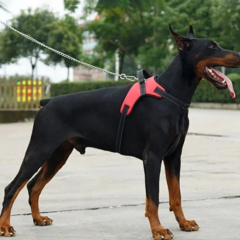 Coleira Peitoral para Cães Ajustável em Oxford Refletiva - Imagem 5