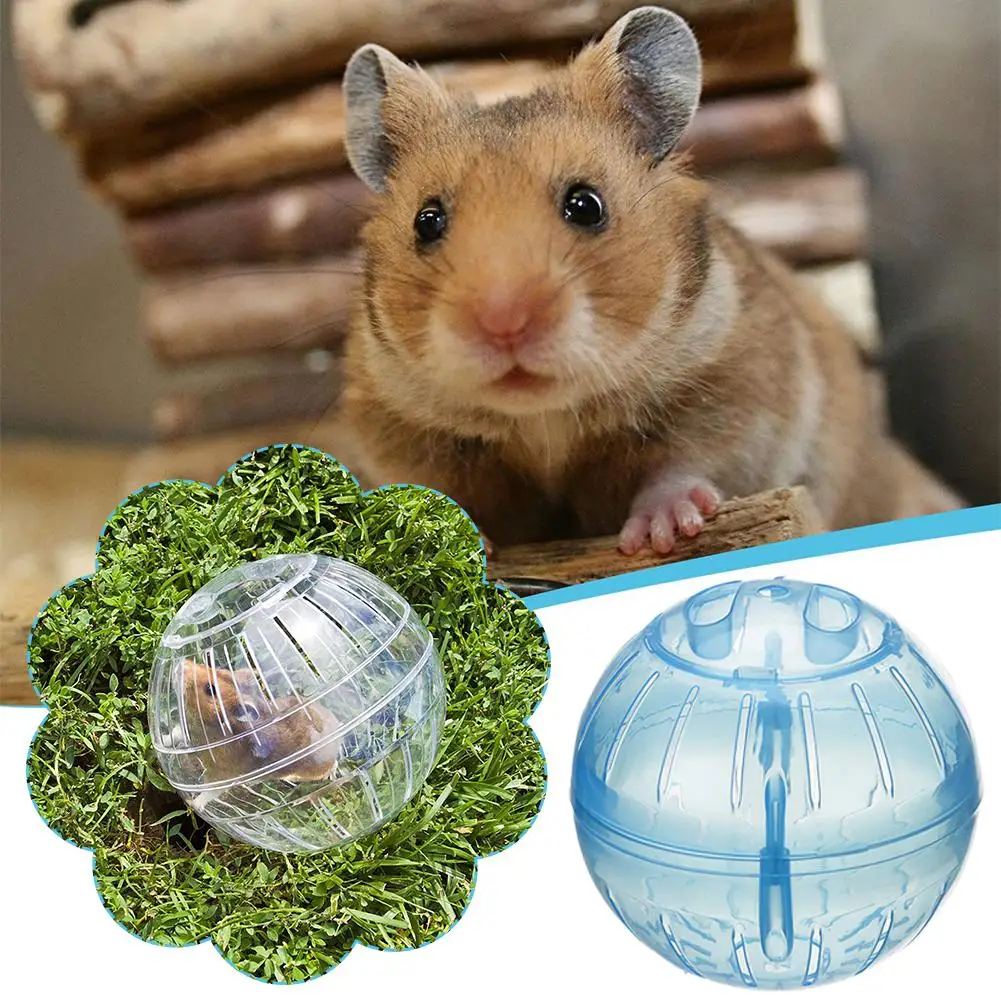 Bola de Exercício para Hamster de Acrílico Transparente 10 cm - Imagem 5