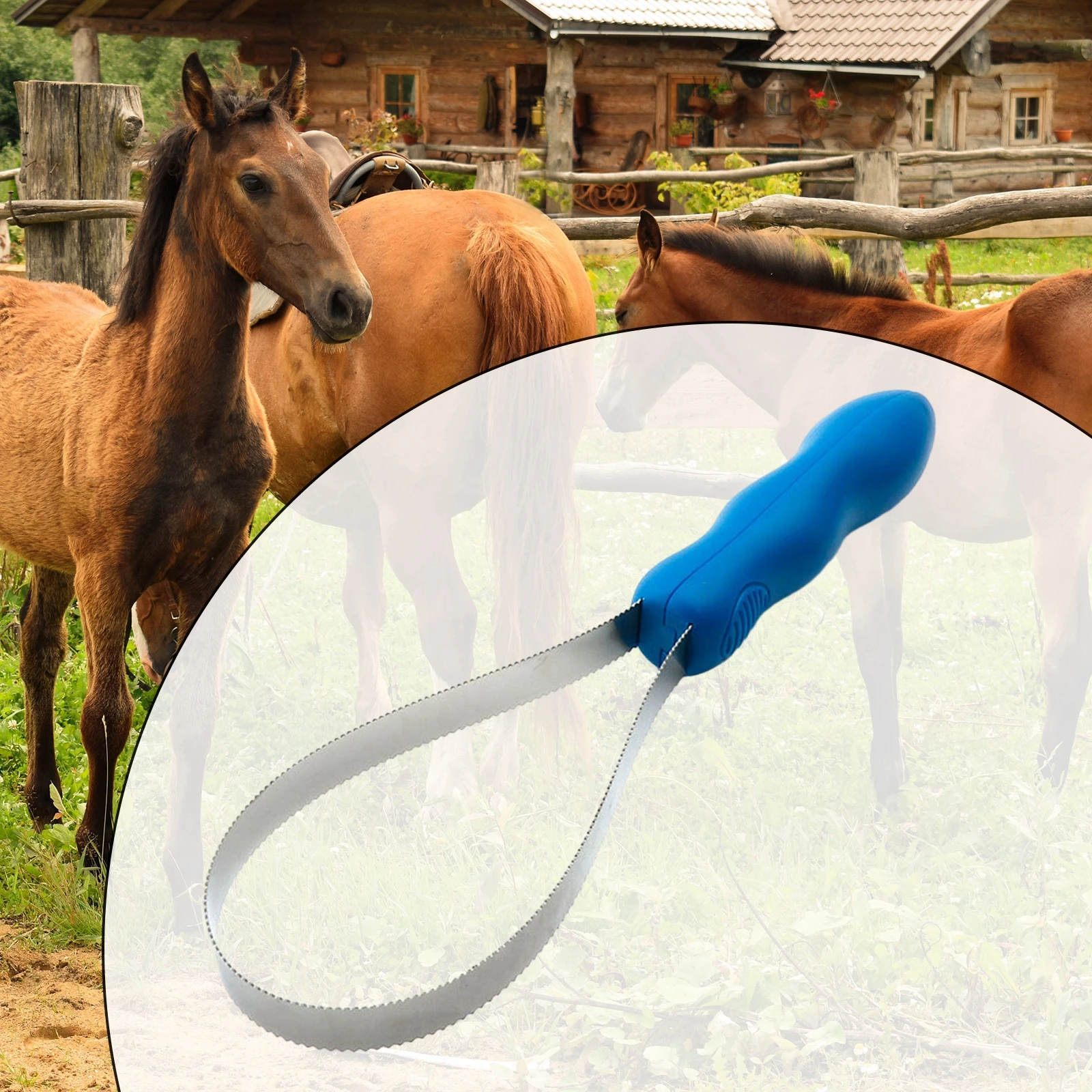pente raspador equestre para cães e gado