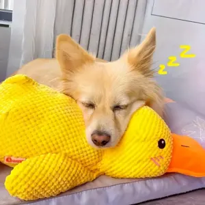 brinquedo de pelúcia para cães com som