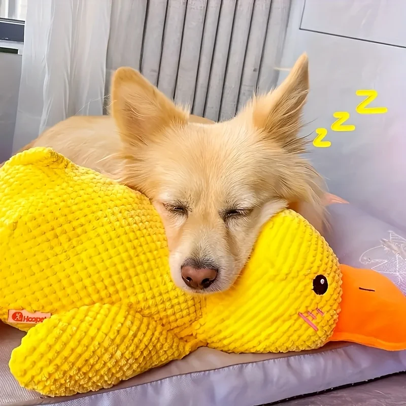 brinquedo de pelúcia para cães com som