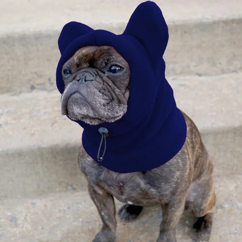 chapéu de morcego de lã para cães