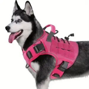 arnês tático para cães grandes