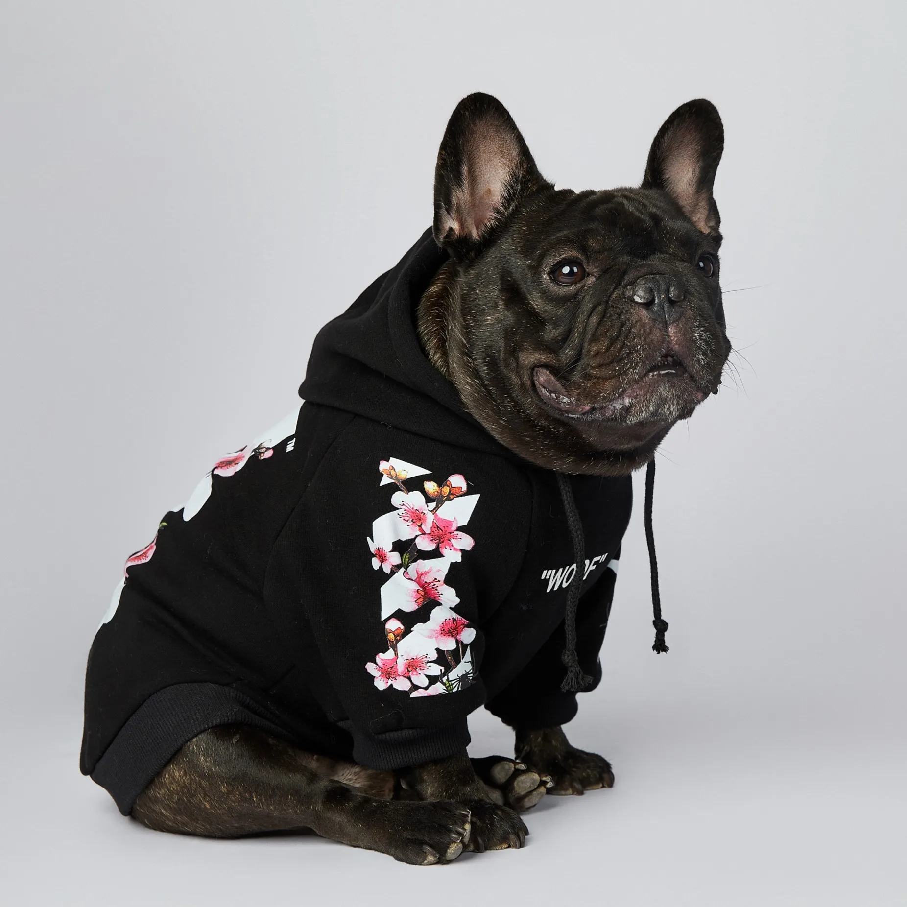 Moletom Woof para Cães de 2 Pernas Quente para Outono e Primavera - Imagem 4