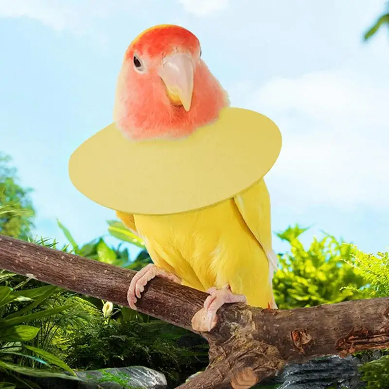 Coleira Protetora para Pássaros de Veludo Macio e Ajustável - Imagem 4
