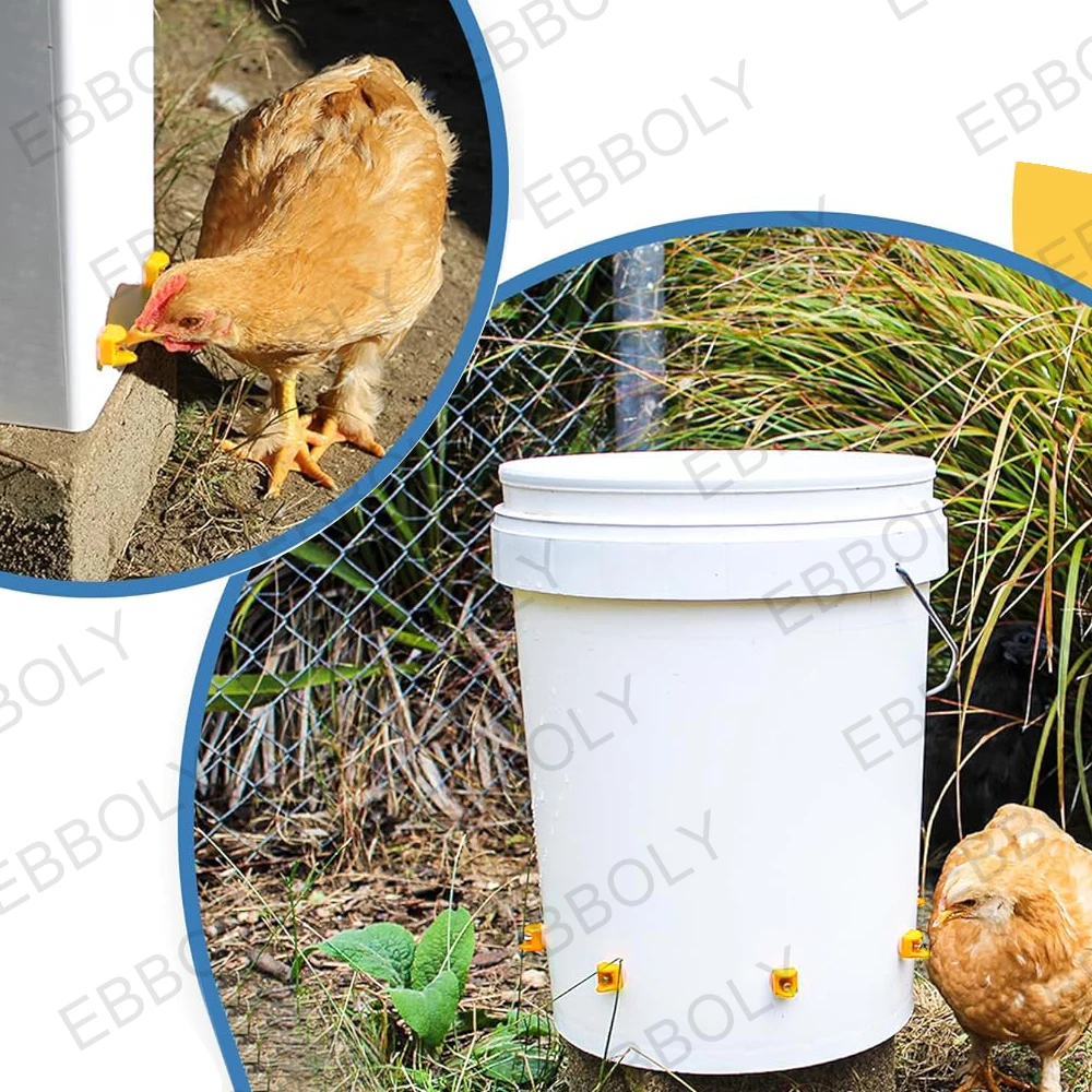 Bebedouro Niple para Aves com Design Anti Vazamento e Fácil Instalação - Imagem 4