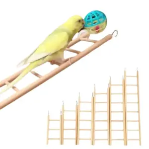 escada de madeira para pássaros e hamsters