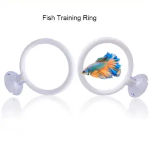 anel de treinamento para peixe betta de aquário