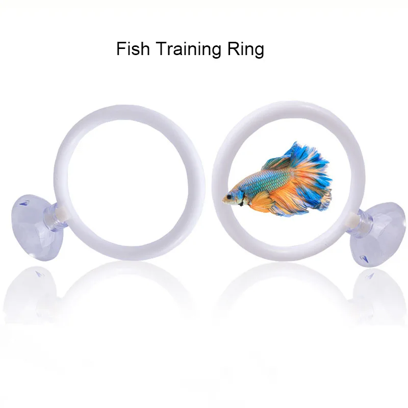anel de treinamento para peixe betta de aquário