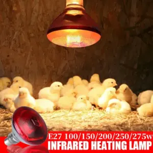 lâmpada de aquecimento para aves e27