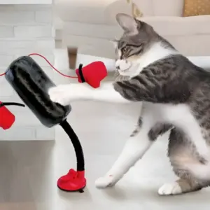 brinquedo interativo para gatos saco de pancadas