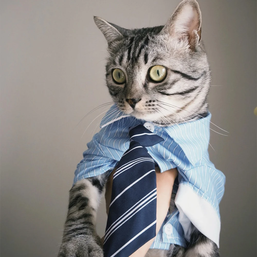 Camisa Listrada para Cães e Gatos Estilo Colegial - Imagem 6