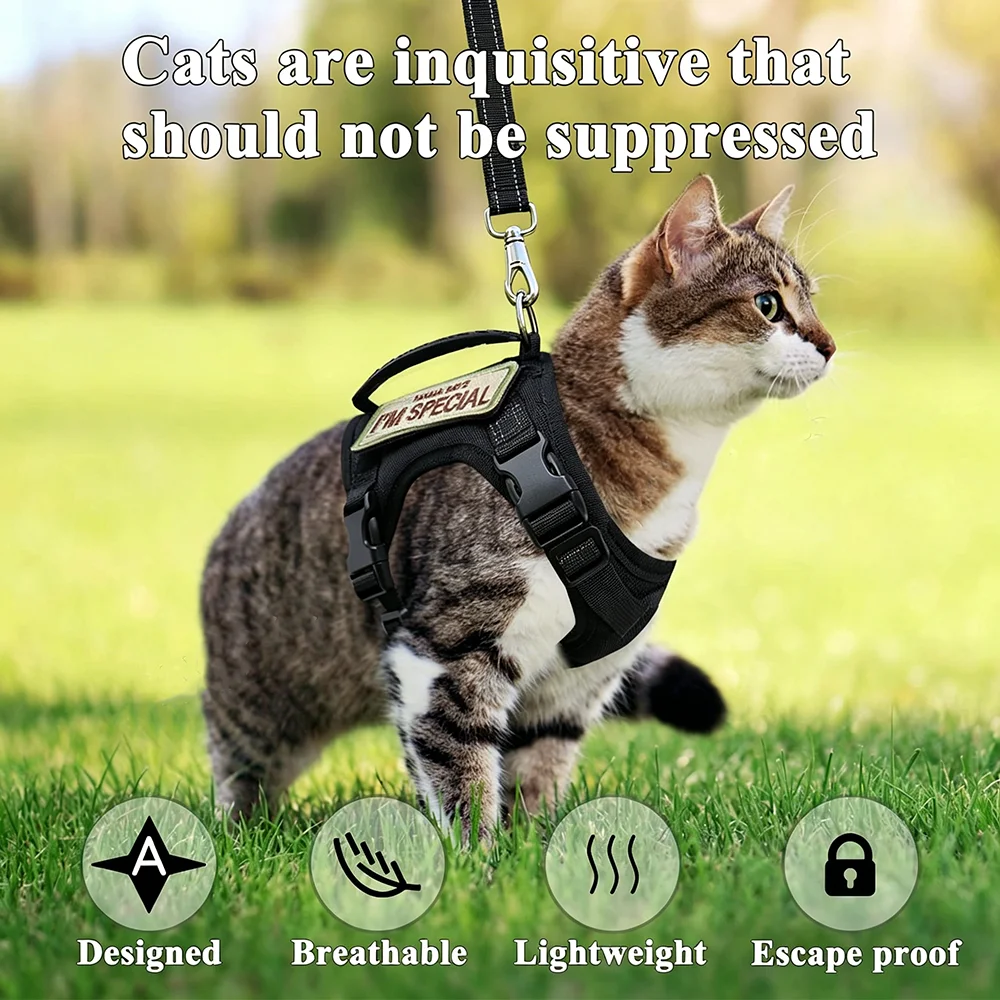 Coleira Tática para Gatos Grandes Ajustável com Alça de Controle - Imagem 2