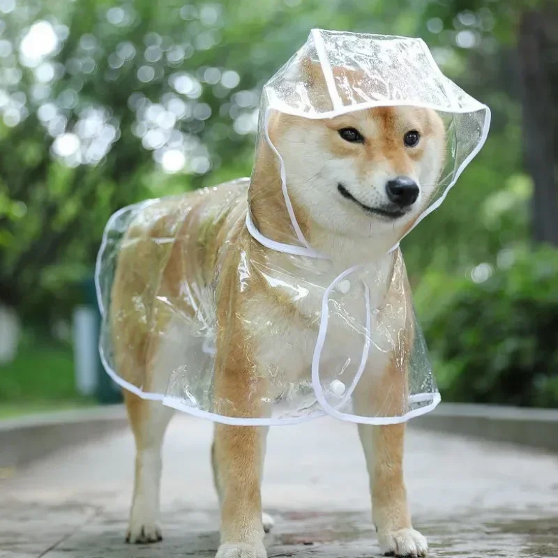 Capa de Chuva para Cães Transparente com Capuz para Passeios - Image 4