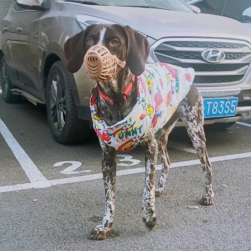 Jaqueta Impermeável para Cães Grandes com Fivela de Tração - Imagem 6